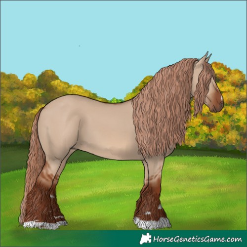 Horse Color:Red Dun 