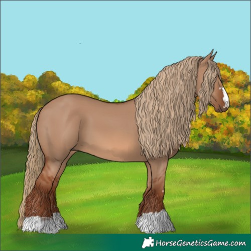 Horse Color:Red Dun 