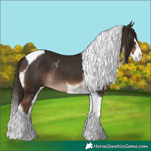 Horse Color:Liver Chestnut Splash Tobiano Rabicano 
