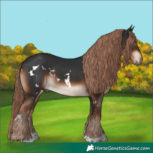 Horse Color:White Spotted Liver Chestnut Tobiano Rabicano