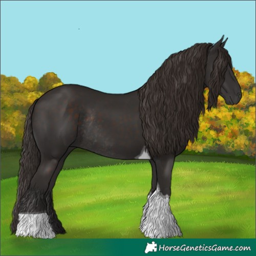 Horse Color:Liver Chestnut Tobiano Rabicano 