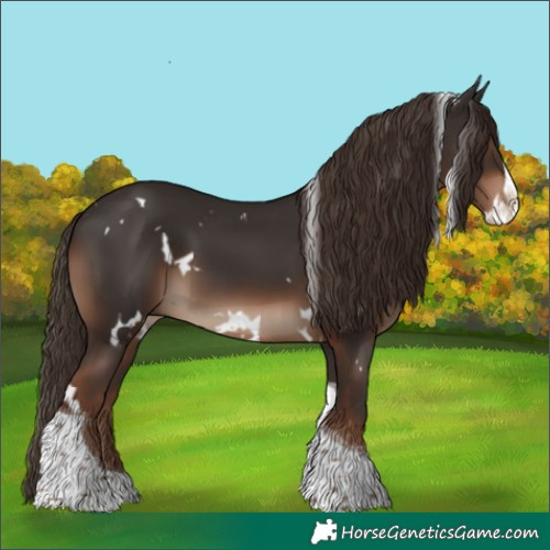 Horse Color:White Spotted Liver Chestnut Splash Tobiano