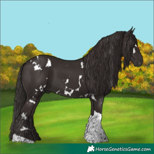 Horse Color:White Spotted Liver Chestnut Tobiano Rabicano 