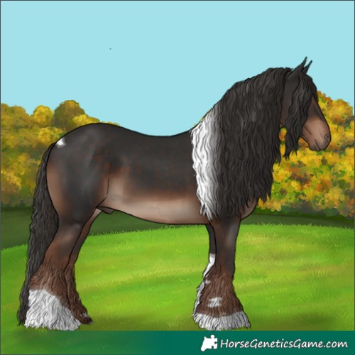 Horse Color:Liver Chestnut Tobiano 