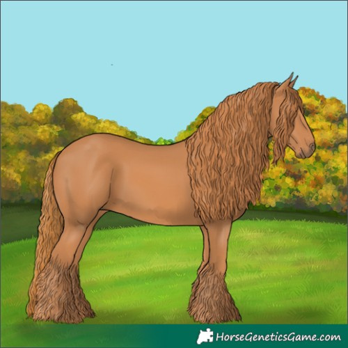 Horse Color:Chestnut 