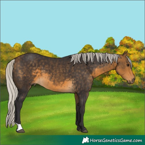Horse Color:Silver Buckskin 