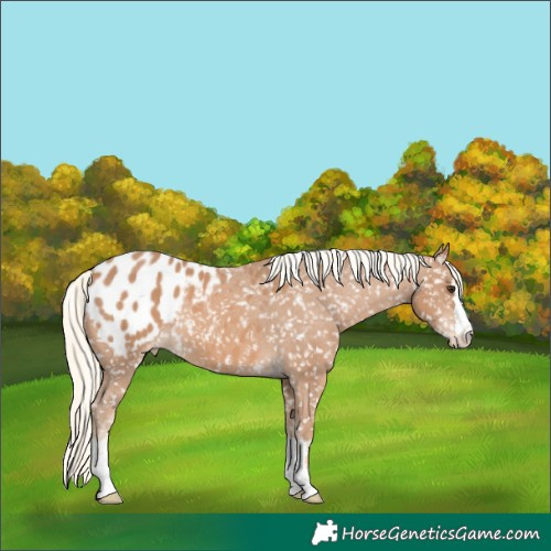 Horse Color:Chestnut Mushroom Blanket