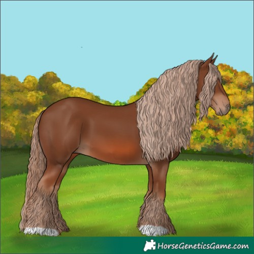 Horse Color:Chestnut 