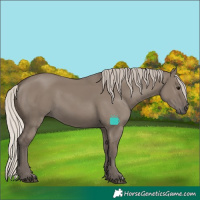 Horse Color:Silver Grullo 