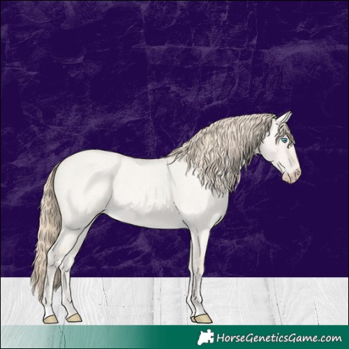 Horse Color:Smoky Creme Roan Dun 