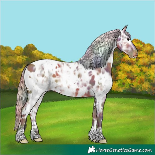 Horse Color:Nacre White Spotted Silver Bay Ice Near Leopard 