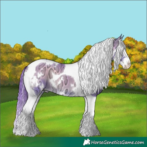 Horse Color:Watercolor White Spotted Buckskin Ice Onyx Splash Tobiano 