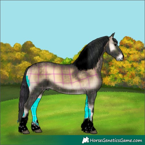 Horse Color:Void Plaid  Brown Onyx Tobiano 