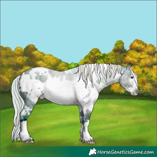 Horse Color:Watercolor White Spotted Liver Chestnut Ice Frame 