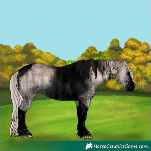 Horse Color:Void Plaid  Silver Brown Ice Onyx Sabino Tobiano 
