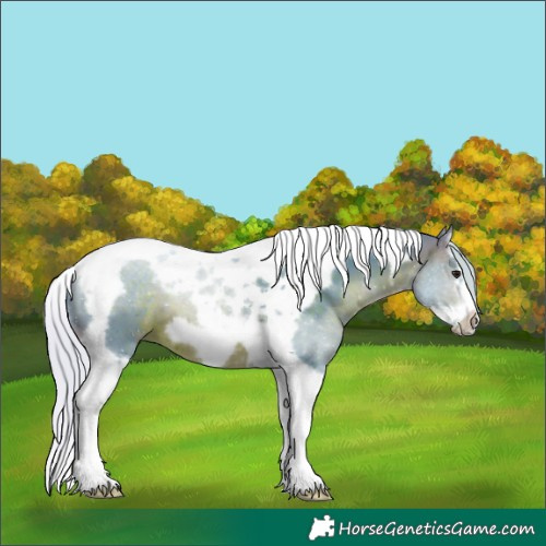 Horse Color:Watercolor Silver Brown Splash Tobiano Frame 