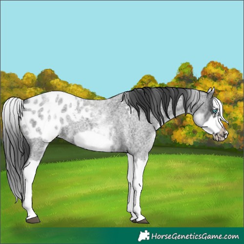Horse Color:White Spotted Blue Roan Splash Frame Blanket 