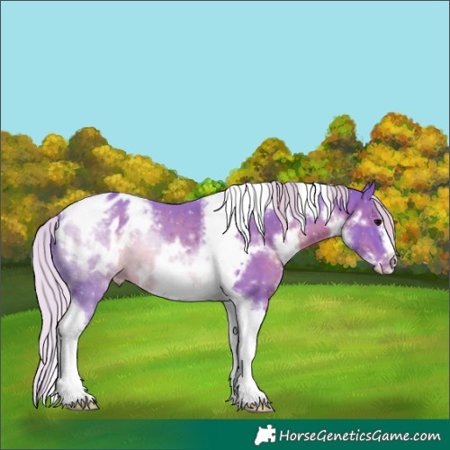 Horse Color:Watercolor White Spotted Silver Black Tobiano Frame Blanket 