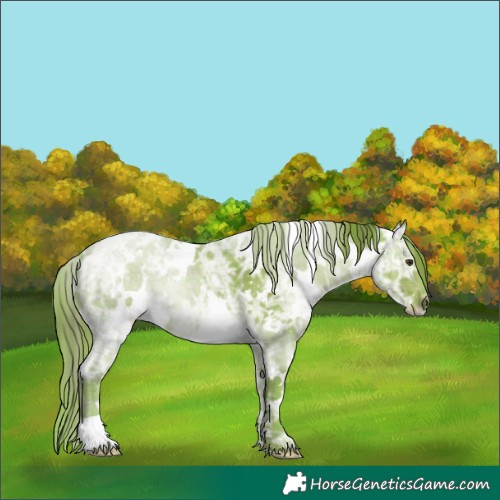 Horse Color:Watercolor Plaid  White Spotted Liver Chestnut Ice 