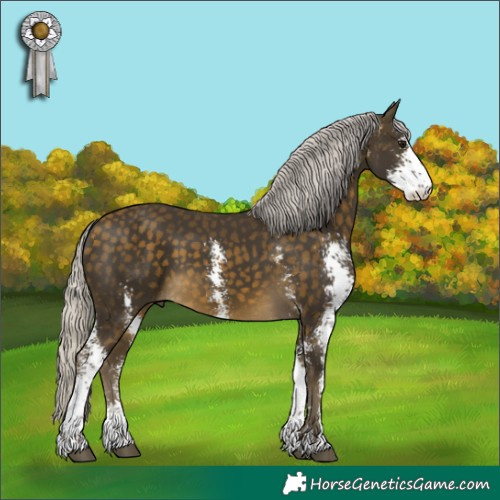 Horse Color:Silver Buckskin Sabino