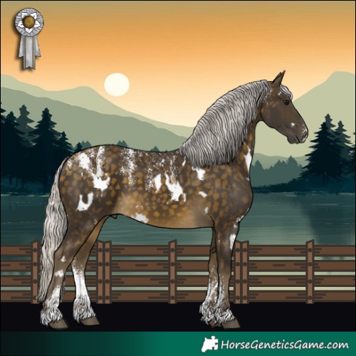 Horse Color:Powder White White Spotted Silver Buckskin 