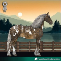 Horse Color:Powder White White Spotted Silver Buckskin 