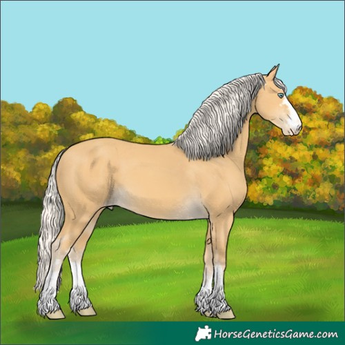 Horse Color:Silver Amber Cream Champagne Skewed Appaloosa