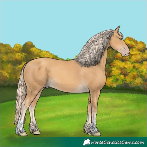 Horse Color:Gold Cream Champagne 