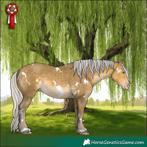 Horse Color:White Spotted Silver Sable Cream Champagne 