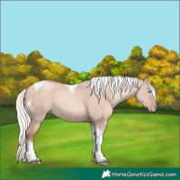 Horse Color:Gold Champagne Dun Mushroom Tobiano