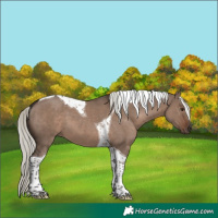 Horse Color:Liver Red Dun Mushroom Tobiano
