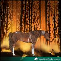 Horse Color:Liver Chestnut Tobiano Rabicano  and Chestnut Tobiano Rabicano 
