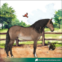 Horse Color:Brown Dun