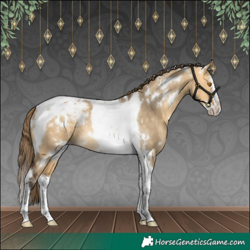 Horse Color:White Spotted Buckskin Dun Splash Tobiano Appaloosa Rabicano 
