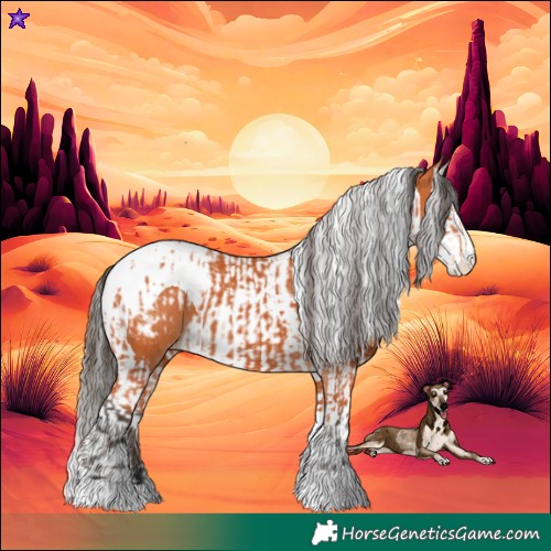 Horse Color:Bay Splash Tobiano Blanket  and Bay Splash Tobiano Blanket 