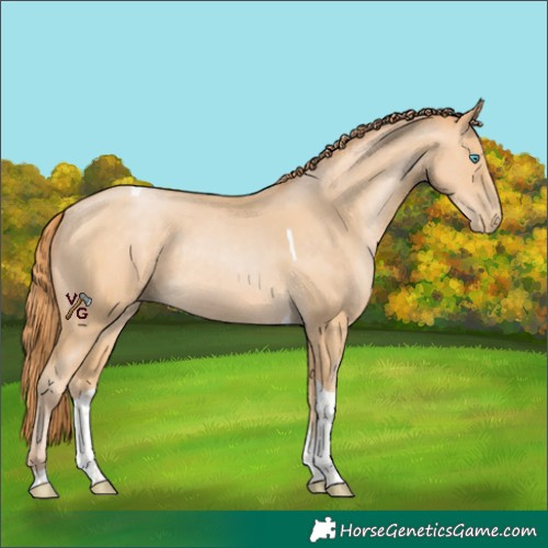 Horse Color:Buckskin Pearl Tobiano Rabicano
