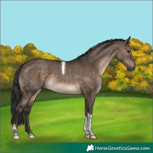 Horse Color:Brown Dun Tobiano