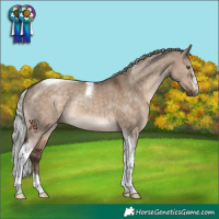 Horse Color:Silver Brown Dun Tobiano Rabicano