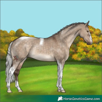 Horse Color:Silver Brown Dun Tobiano Rabicano 