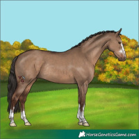 Horse Color:Liver Red Dun Rabicano