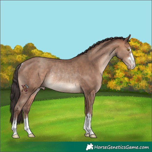 Horse Color:Sable Champagne Rabicano
