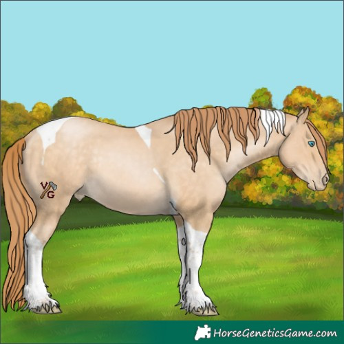 Horse Color:Brown Snowdrop Pearl Tobiano Rabicano 