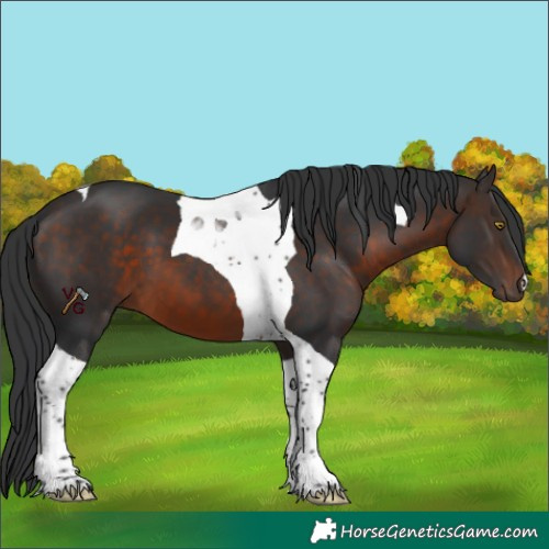 Horse Color:Brown Tobiano 