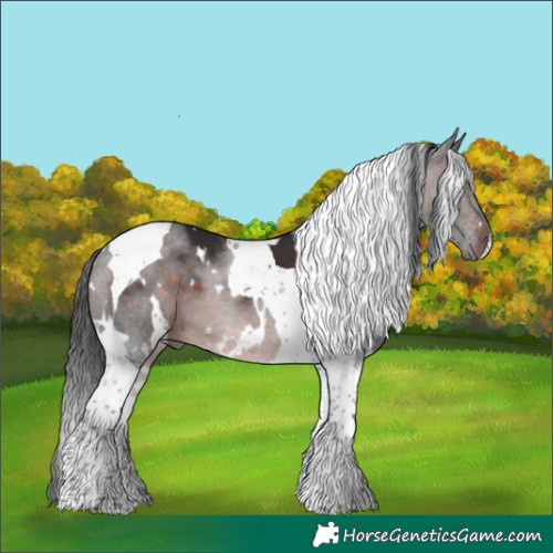 Horse Color:White Spotted Brown Tobiano 