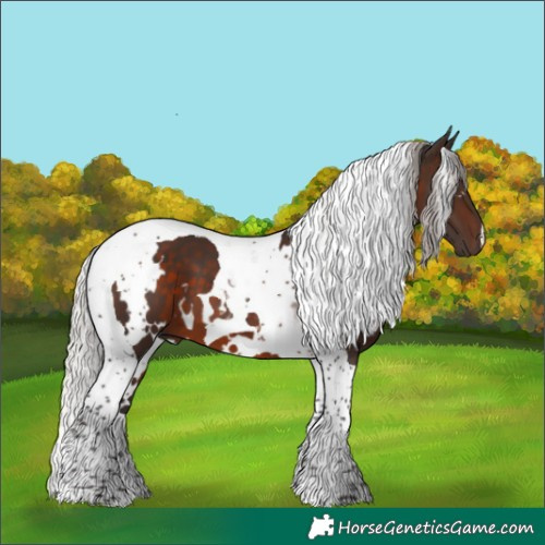 Horse Color:White Spotted Silver Brown Tobiano 