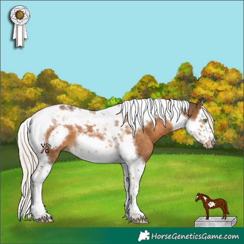 Horse Color:Chocolate Palomino Splash Tobiano Frame 