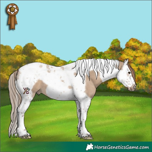 Horse Color:Liver Red Dun Splash Tobiano Frame 