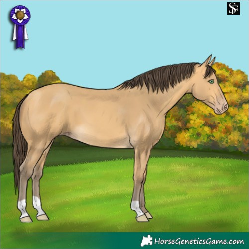 Horse Color:Amber Cream Champagne