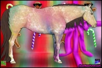 Horse Color:Amber Champagne Ice Sabino 