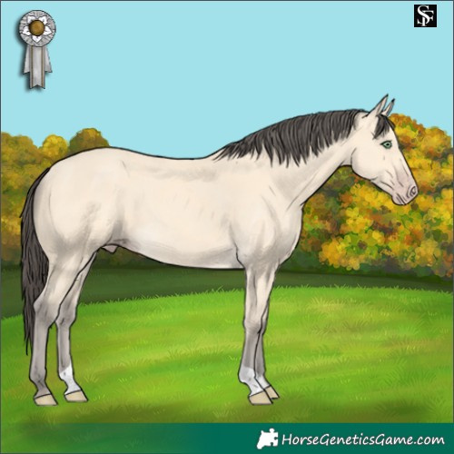 Horse Color:Amber Cream Champagne 